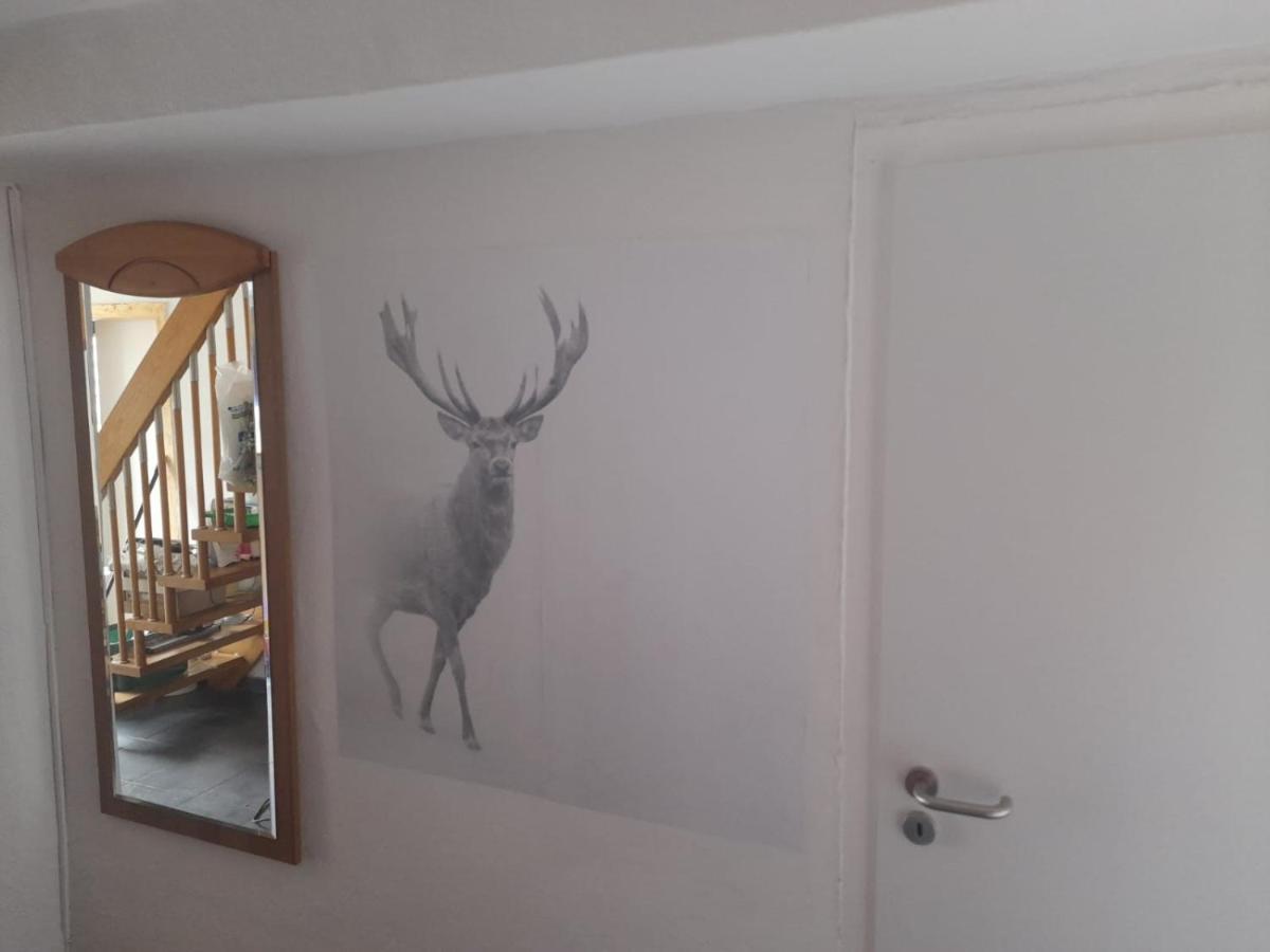 Ferienwohnung Beckmann บัดเลาเทอร์แบร์ก ภายนอก รูปภาพ